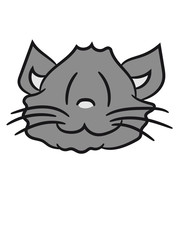 face head happy sweet cute kitten fluffy fur