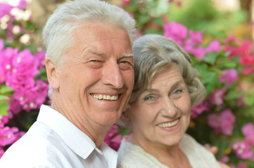 Senior couple  in summer park