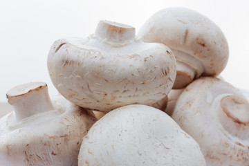Pile of unwashed champignon mushrooms
