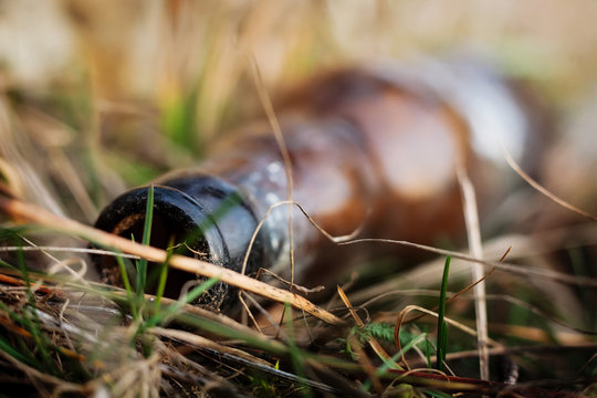 Abandoned brown bottle in the nature