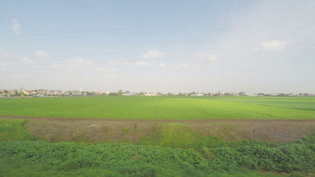 The view from the window of a train, walking along a green field in Israel