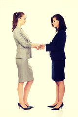 Two businesswomen holding their hands together.