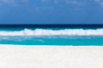 Fototapeta na wymiar Seashell on caribbean sandy beach