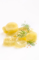 cucumbers, gherkins, sweet and sour with dill