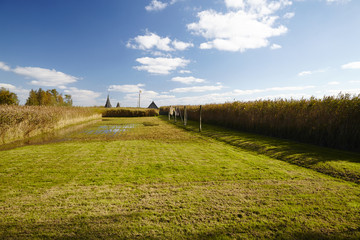 Impressionen von der Halbinsel Fischland, zwischen Ahrenshoop und Wustrow, Mecklenburg-Vorpommern, Deutschland