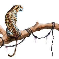 Fototapeta na wymiar Watercolor raster leopard