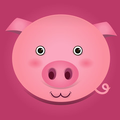 Vector image of a pig head on pink background