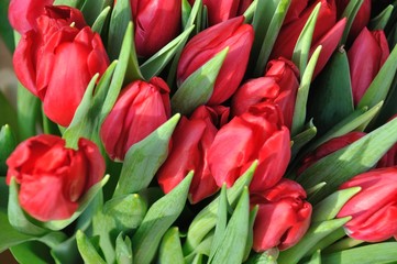 Fototapeta premium A colourful display of tulips outside a florist.
