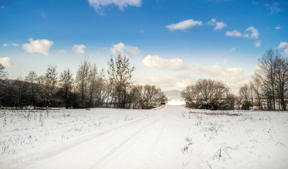 White winter landscape