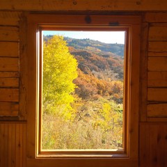 Autumn Window