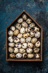 Quail eggs in rustic wooden box in form of house. Easter greeting card.
