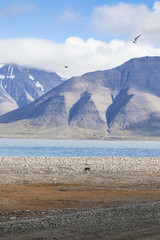 Beautiful scenic view of blue gulf under barren mountain range w