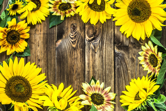 Sunflowers frame on rustic wood background. Flowers backgrounds with copy-space