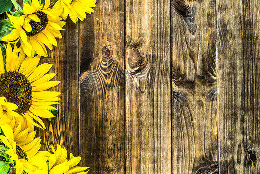 Free Free 301 Rustic Sunflower Svg SVG PNG EPS DXF File