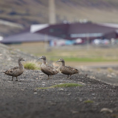 Beautiful scenic view of blue gulf under barren mountain range w