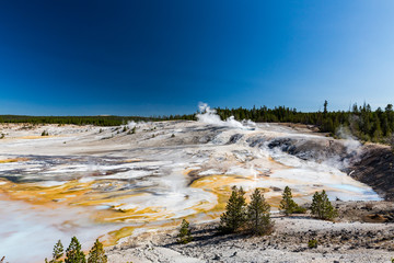 Yellowstone National Park, USA