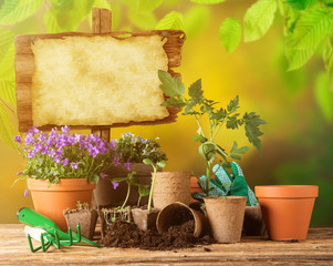 Gardening tools and flowers on wooden background