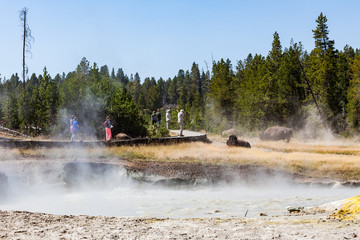 Yellowstone National Park, USA