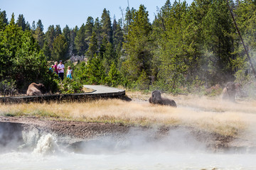 Yellowstone National Park, USA © oscity