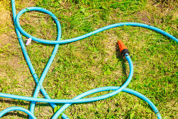 Blue plastic sprayer for gardening