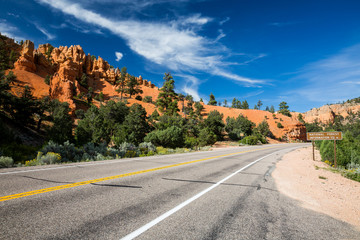 Dixie National Forest - Red Canyon, Utah