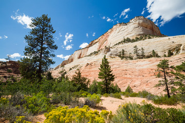 BRYCE CANYON, UTAH - SEPTEMBER 3: People riding on horses on the