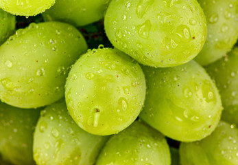 Ripe green grapes close up