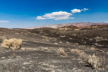 Nature along the street to Racetrack, Death Valley National Park