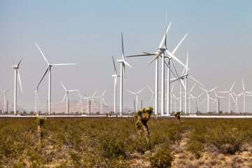Windmill farm in Mojave desert, California