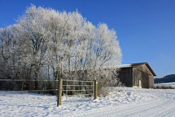 Winterlandschaft