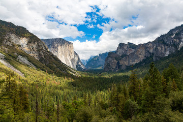 Fototapeta na wymiar El Capitan in Yosemite National Park, California