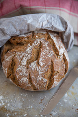 Brotlaib