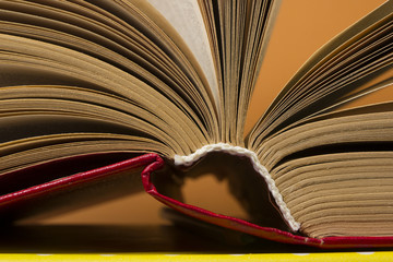 Book pages macro view. Toned image. Copy space for text