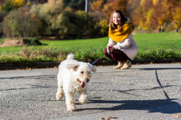 Girl with a poodle in forest