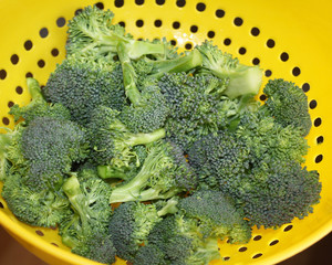 Fresh Organic broccoli florets in colander after rinsing
