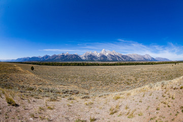 Views of the fields and Mountains in Grand Teton National Park,