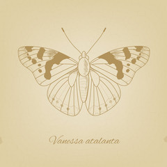 Vector sketch of a butterfly on the background texture of the old paper