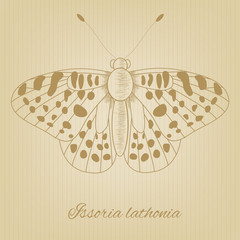 Vector sketch of a butterfly on the background texture of the old paper