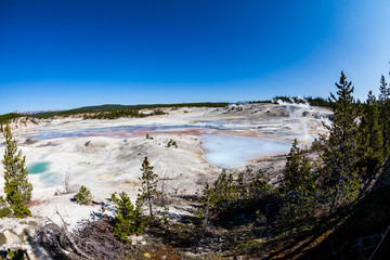 Norris Geyser​ in Yellowstone National Park, USA