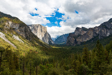 Fototapeta na wymiar El Capitan in Yosemite National Park, California