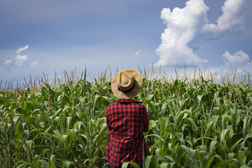 Farmer with hat looking the corn plantation field