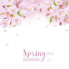 Cherry Blossom Spring Background - with place for your Text