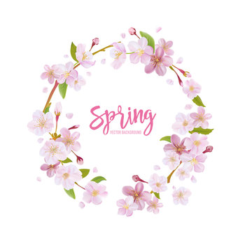Cherry Blossom Spring Background - with Floral Wreath in vector