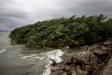 Balaton