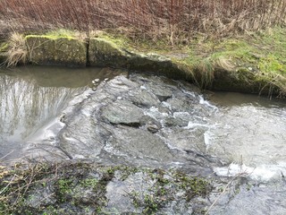 Viel Regenwasser im Bachlauf