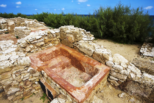 Tunisia. Ruins of Kerkouane - one of the most important Punic cities. One of many bathtubes