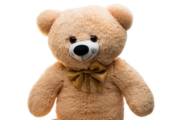Big Bear soft toy isolated