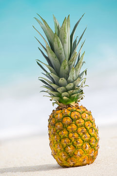 Pineapple fruit on sand against turquoise caribbean sea water
