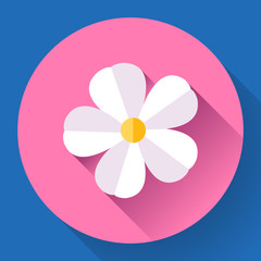 Frangipani flower icon. Nature symbol - Vector