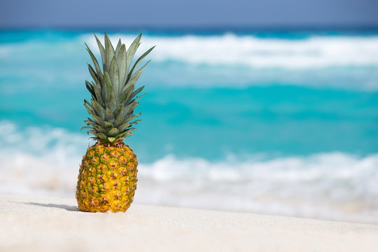 Pineapple fruit on sand against turquoise caribbean sea water